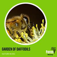 Garden of Daffodils - Nature Music