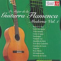 The Very Best of Spanish Guitar Flamenco Songs