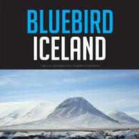 Bluebird Iceland