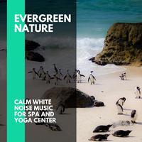 Evergreen Nature - Calm White Noise Music for Spa and Yoga Center