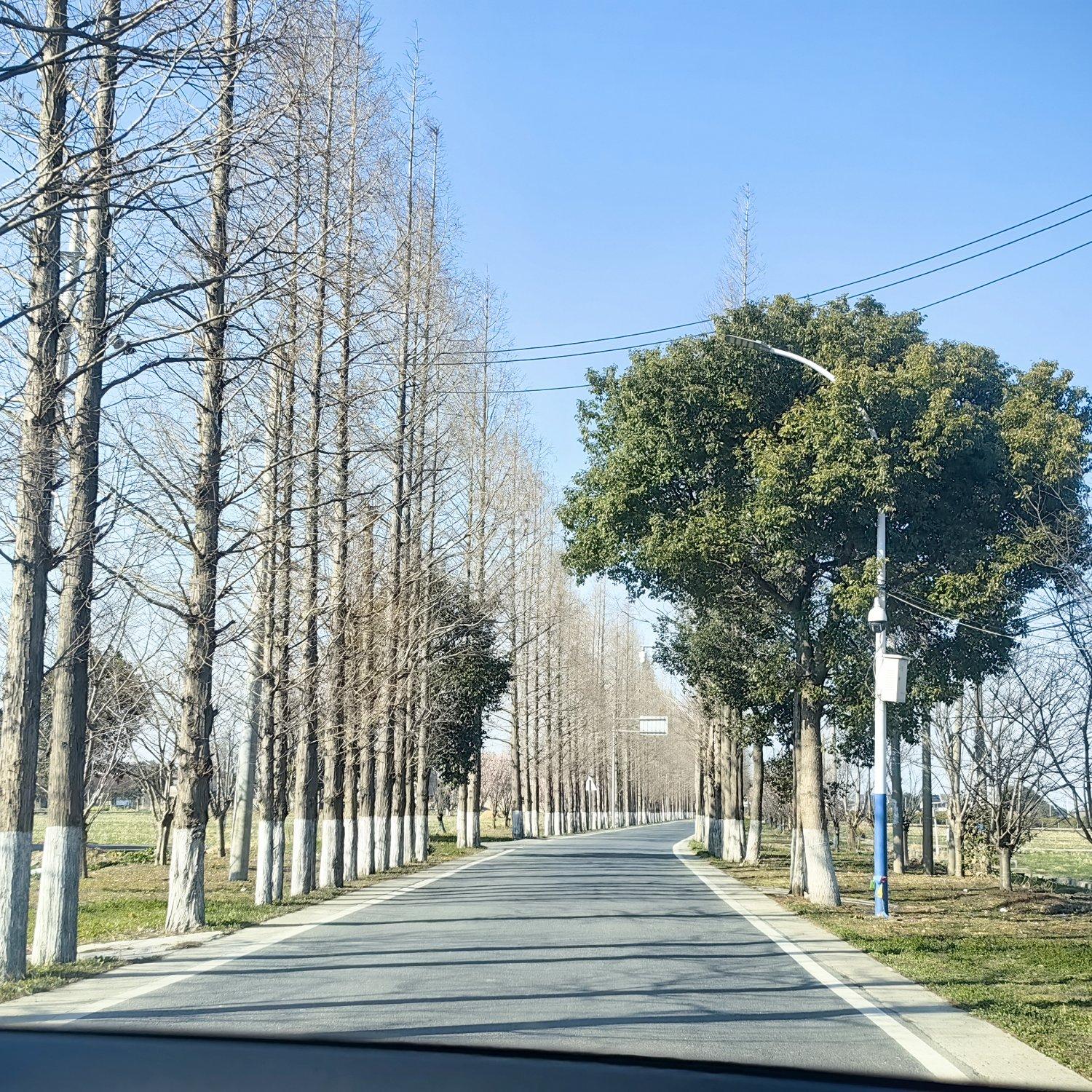 西塘情话封面