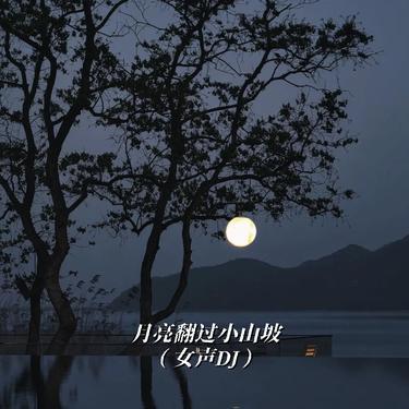 月亮翻过小山坡 (女声DJ)封面