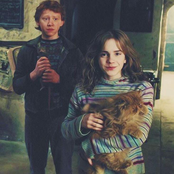 can‘t help falling in love