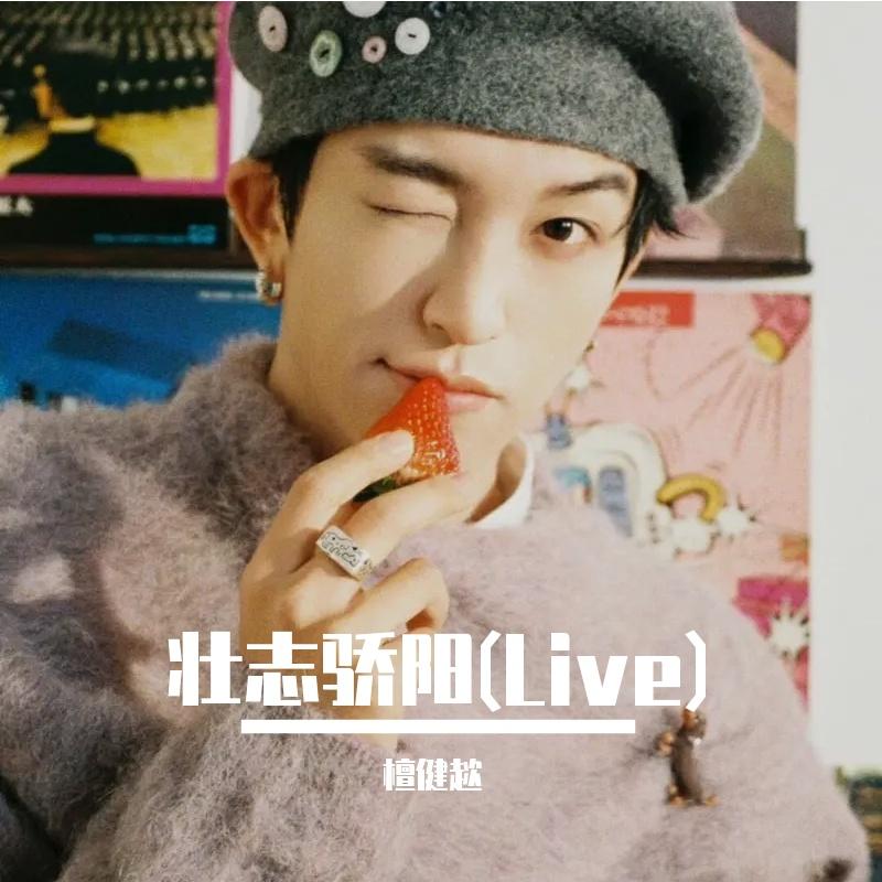 壮志骄阳(Live)（合唱）封面