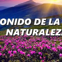 Sonido de la Naturaleza