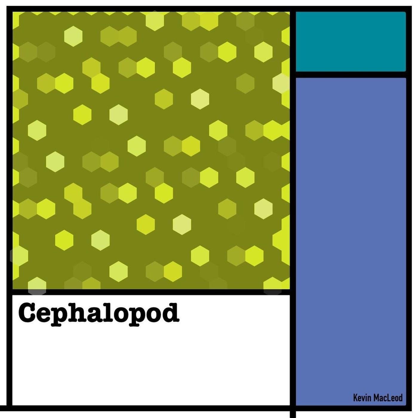 Cephalopod_Kevin MacLeod_Cephalopod | 在线播放_Cephalopod歌词_Cephalopod下载 | 网易云音乐