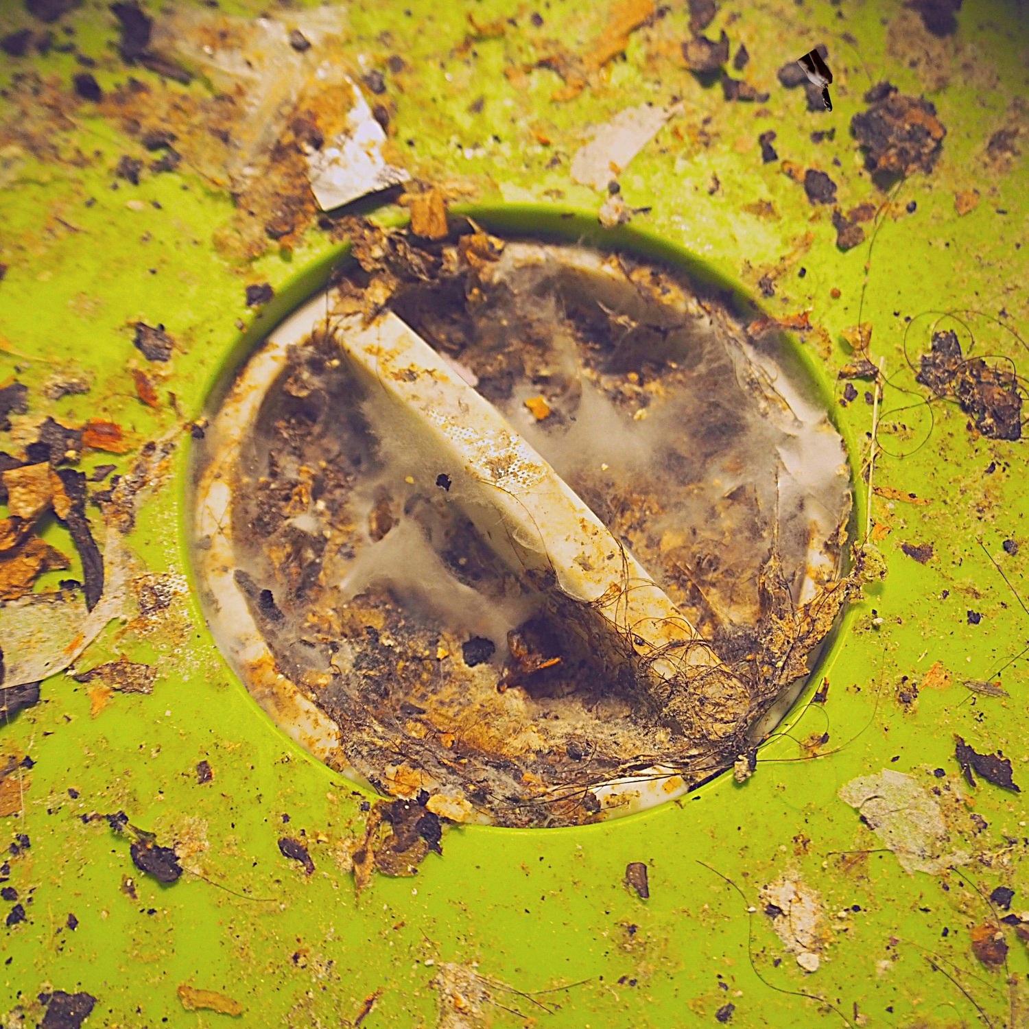 排水溝にたまったちん毛そのままにしないで掃除するの大変だから