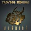 TroyBoi - Warrior