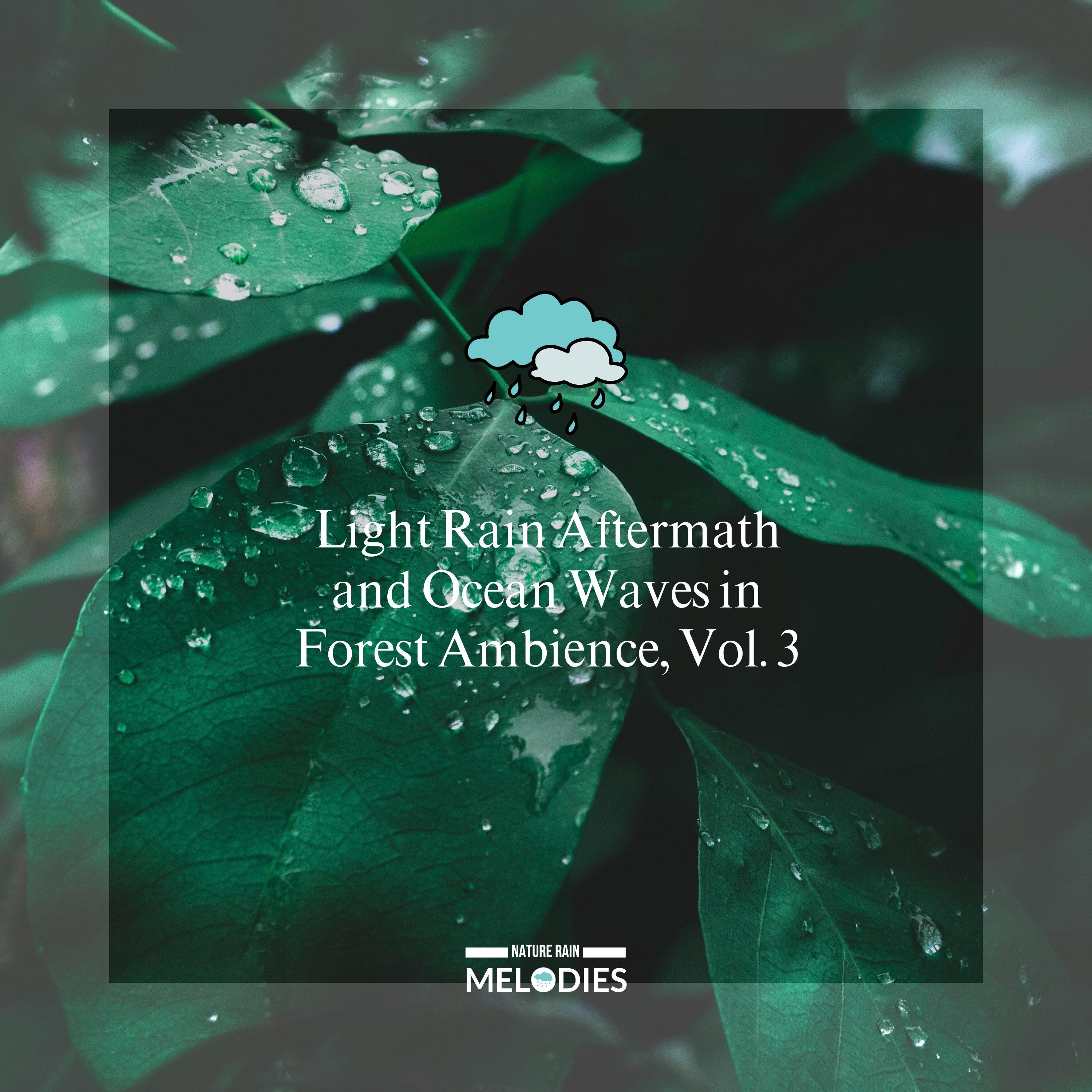 Lush Forest Ambience