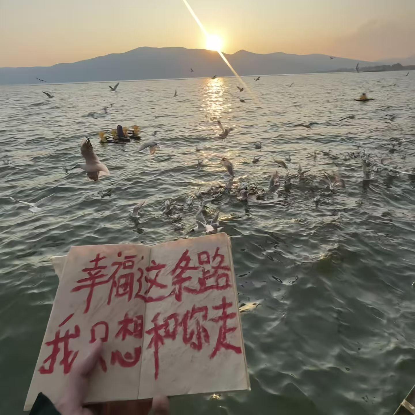 风的诗行封面