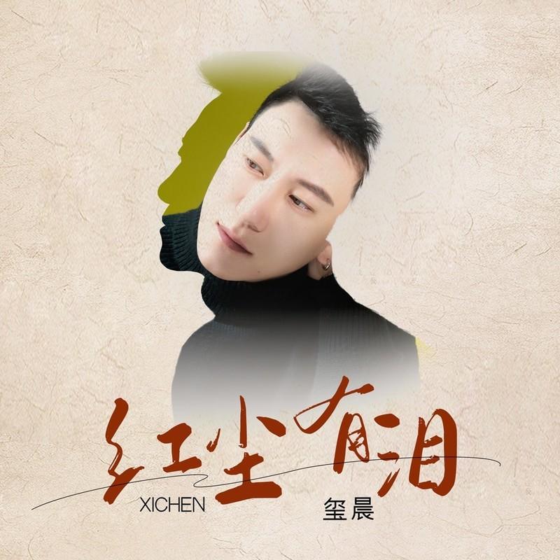 红尘有泪 (DJ九零版)封面