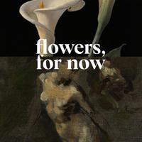 flowers, for now (demos)