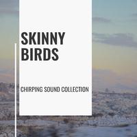 Skinny Birds - Chirping Sound Collection