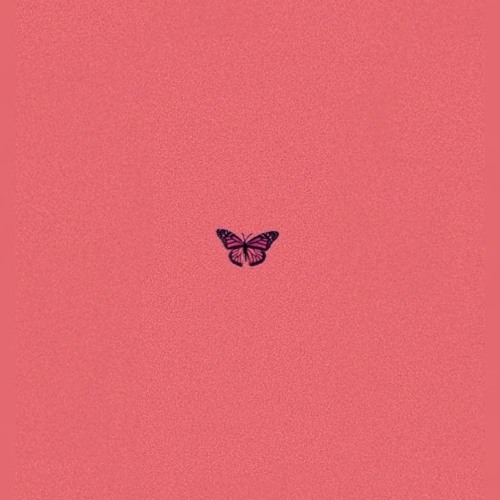 butterflies when i'm with u