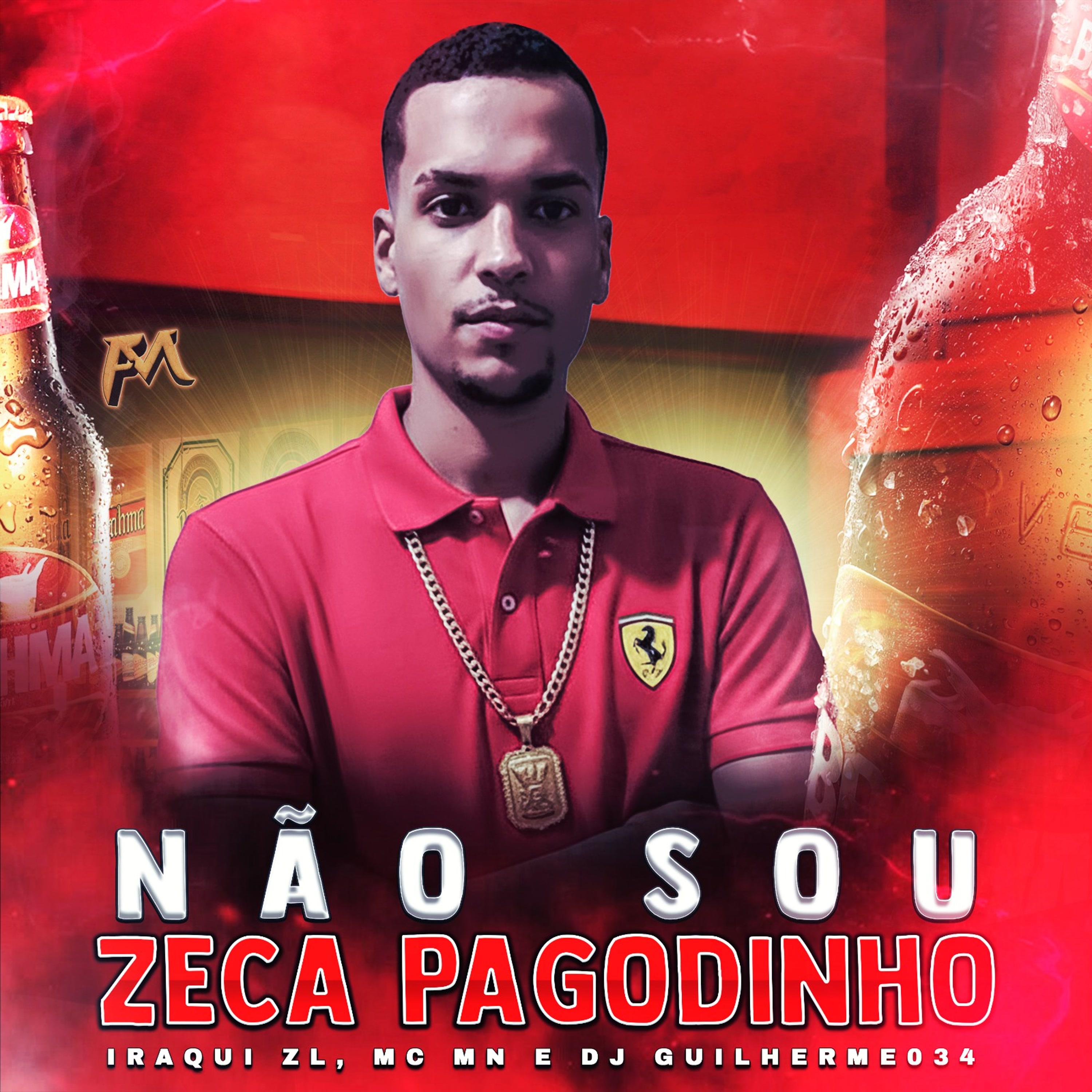 Não Sou Zeca Pagodinho