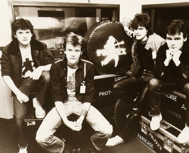 The Fleshtones