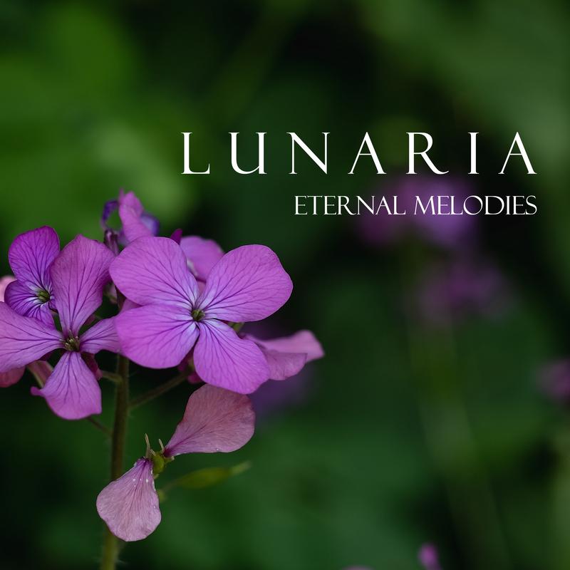 Variations on a Theme by C.H., Op. 57: Var. 1. Un poco più mosso