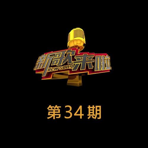 种子 (Live)封面