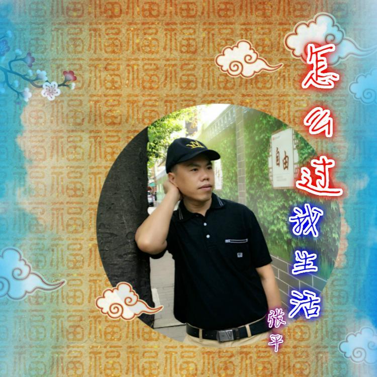 怎么过我生活 伴奏 - 张平封面