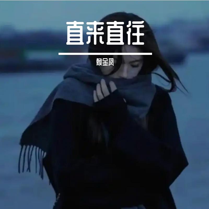 直来直往封面