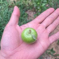 杨仙女资料,杨仙女最新歌曲,杨仙女MV视频,杨仙女音乐专辑,杨仙女好听的歌