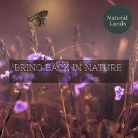 Bring Back in Nature