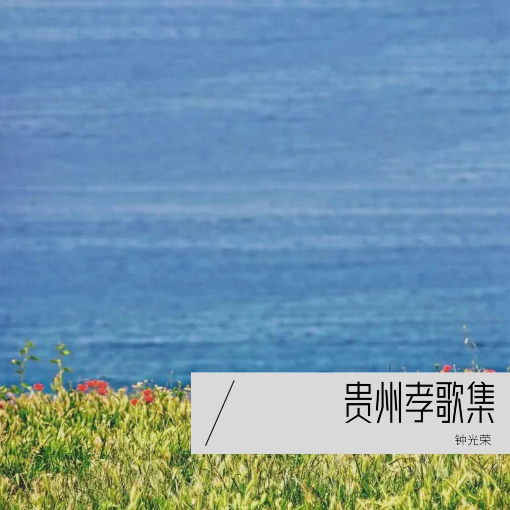 贵州织金孝歌 隋唐演义封面