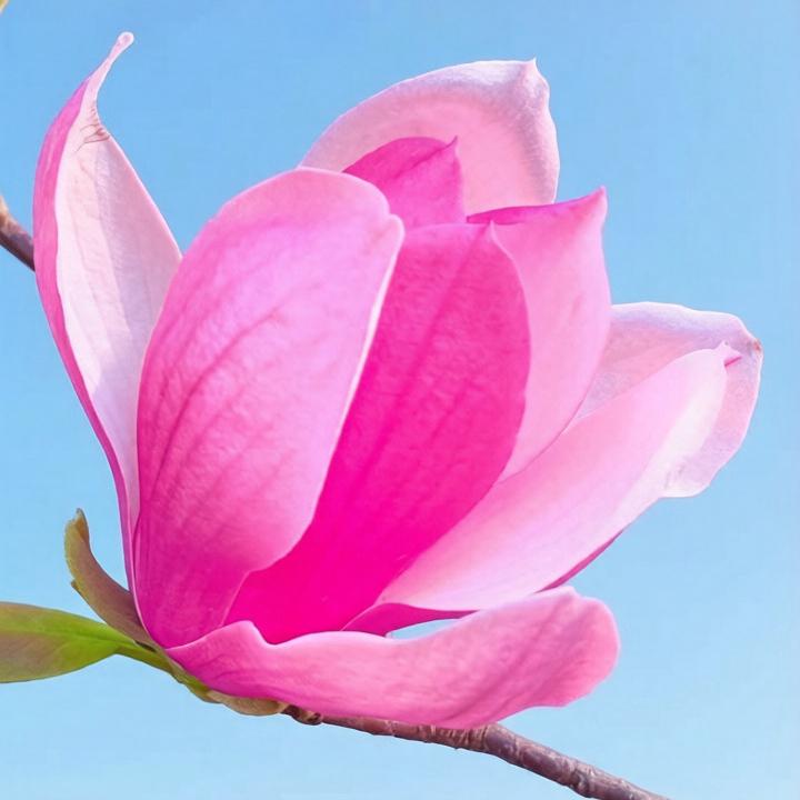 旷野的心有了方向封面