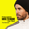 Enrique Iglesias - MOVE TO MIAMI (rad cat Remix)