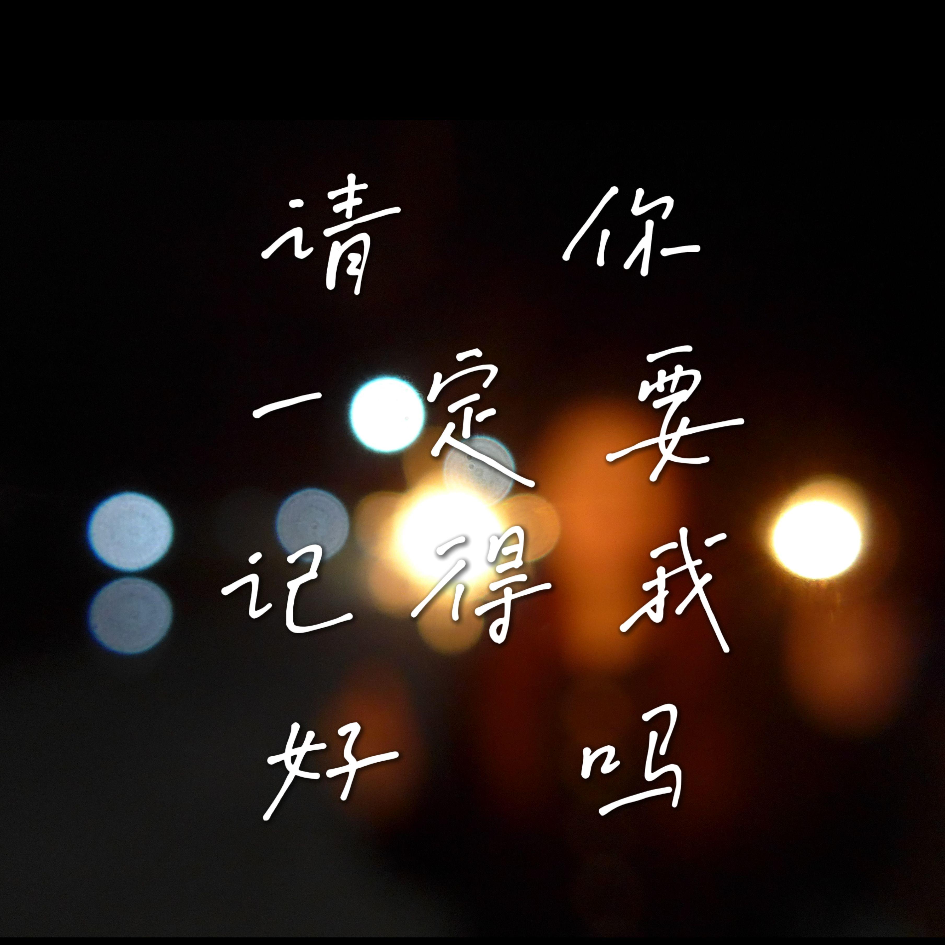 请你一定要记得我好吗封面