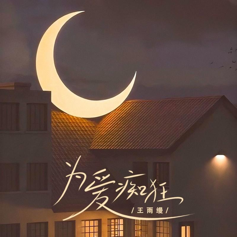 为爱痴狂 (DJ小蒋版)封面