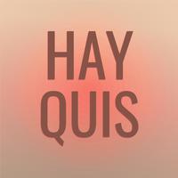 Hay Quis