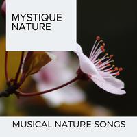 Mystique Nature - Musical Nature Songs