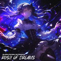 Rush of Dreams