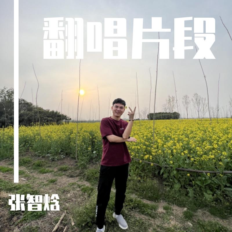 月亮之上串烧封面