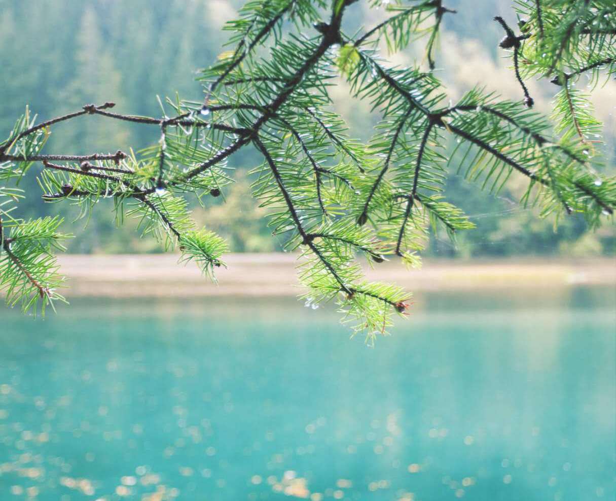 涟转流心