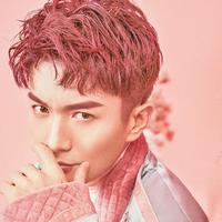 瑞洋RayYoung资料,瑞洋RayYoung最新歌曲,瑞洋RayYoungMV视频,瑞洋RayYoung音乐专辑,瑞洋RayYoung好听的歌