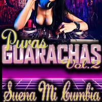 Puras Guarachas (Suena Mi Cumbia), Vol. 2