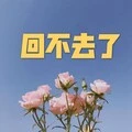 回忆沙漠 (男声版)封面