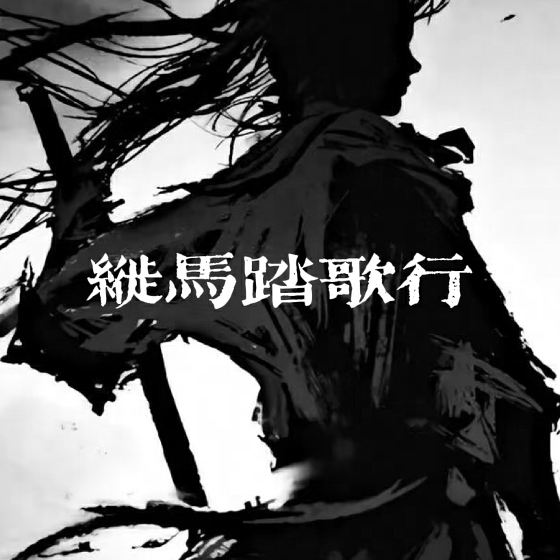 纵马踏歌行封面