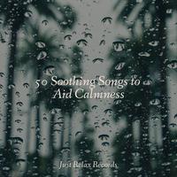 50 Soothing Songs to Aid Calmness