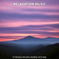 #01 Relaxation Music for Sleeping, Relaxation, Reading, Cats & Dogs