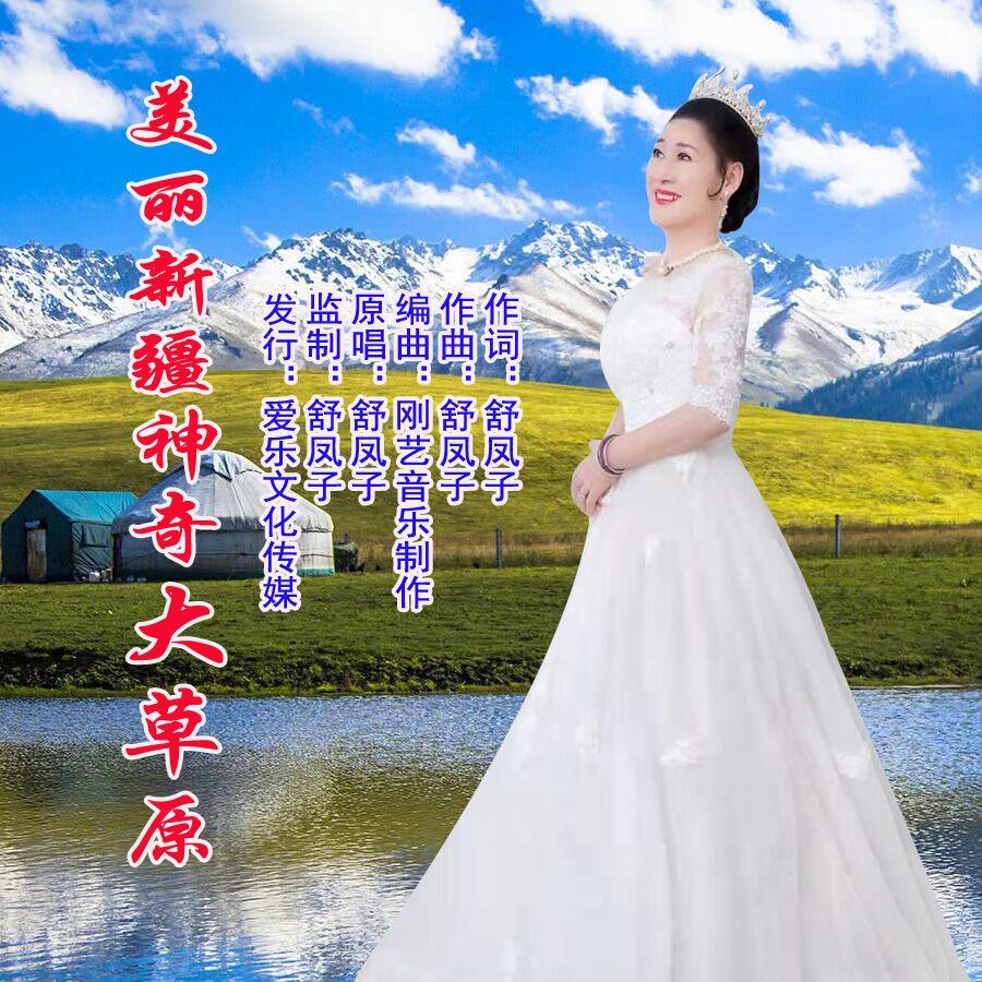 美丽新疆神奇大草原封面