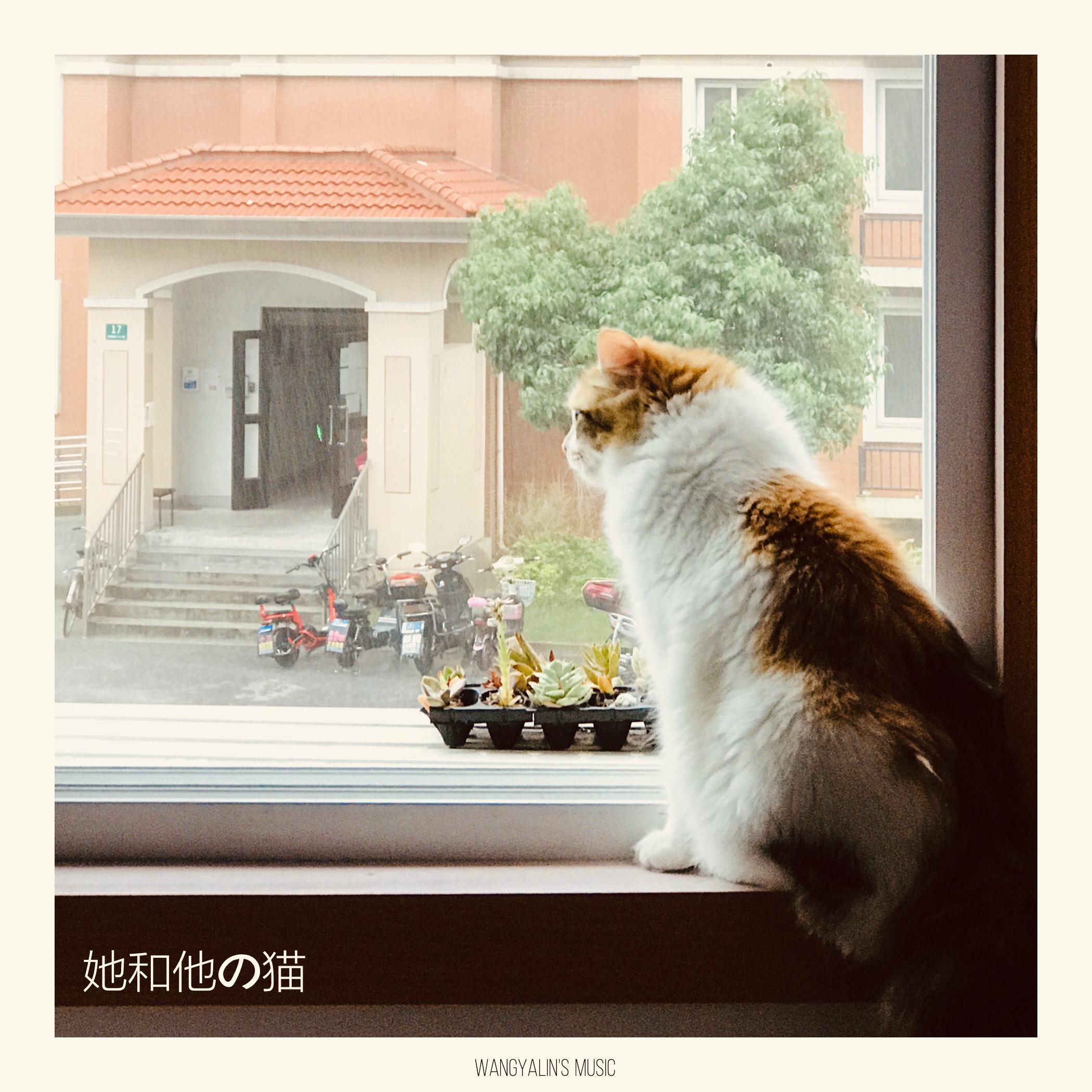 雨中的女孩(Girl In The Rain)封面