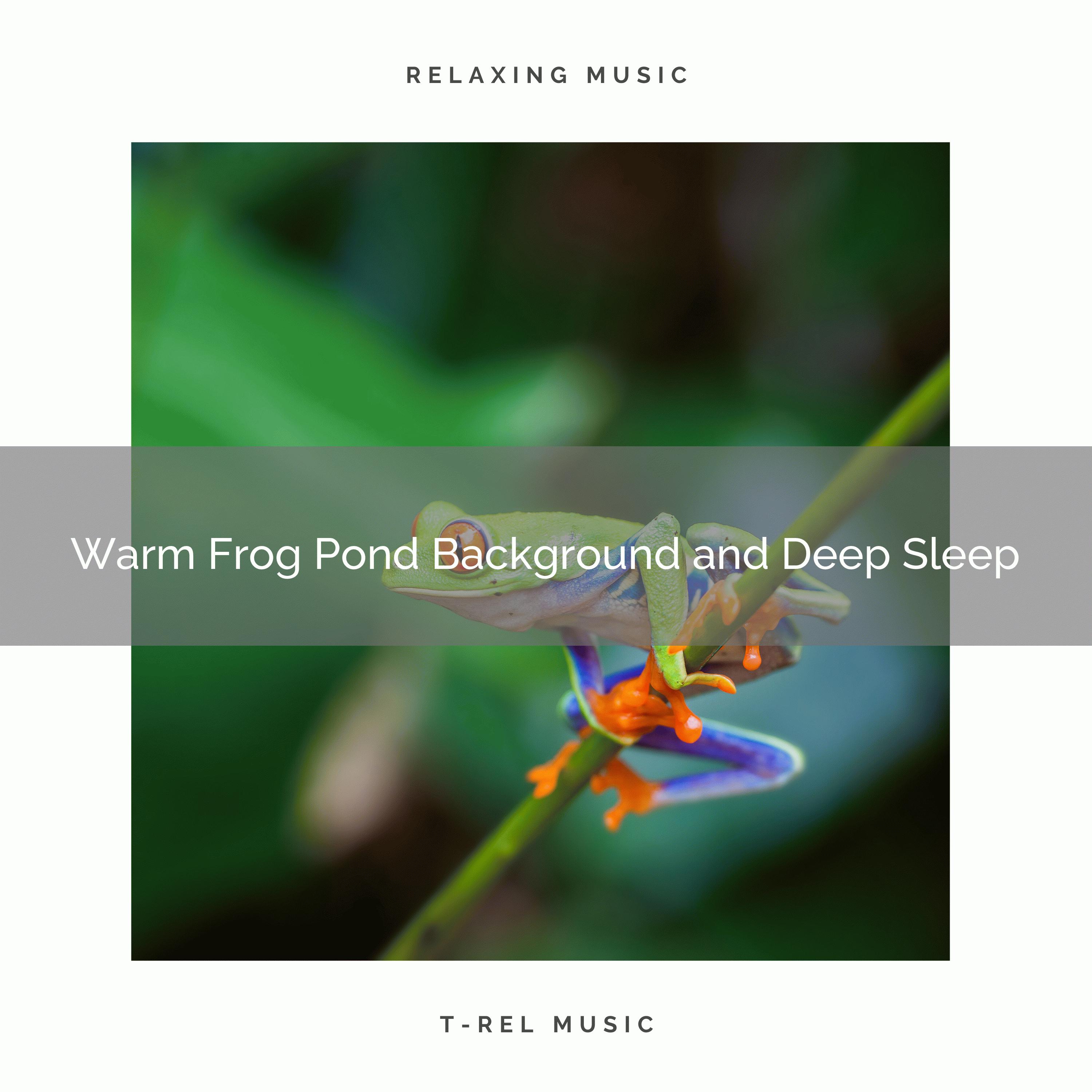 Songs of Frog Pond Music and Hard Relax Sleep