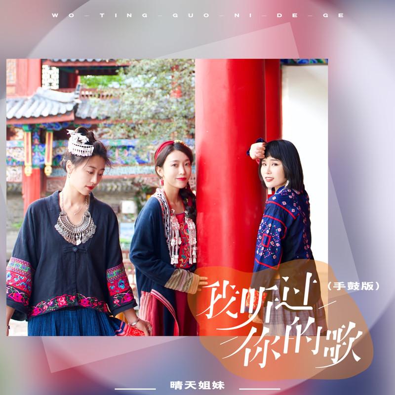 我听过你的歌 (手鼓版)封面