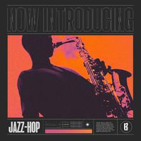 Now Introducing - Lo-fi Jazz Hop 2