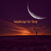 Soundscape for Sleep (Sleeping Pad)