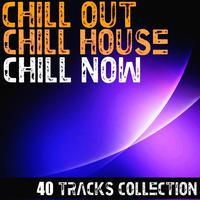 Chill Out Chill House Chill Now ! 40 Tracks Collection