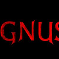 Ignus资料,Ignus最新歌曲,IgnusMV视频,Ignus音乐专辑,Ignus好听的歌